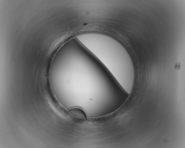 X0000113290538200909141007