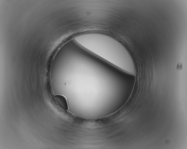 X0000113290540200909141007