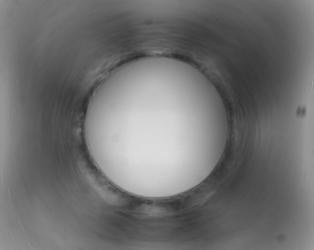 X0000113290545200909141007