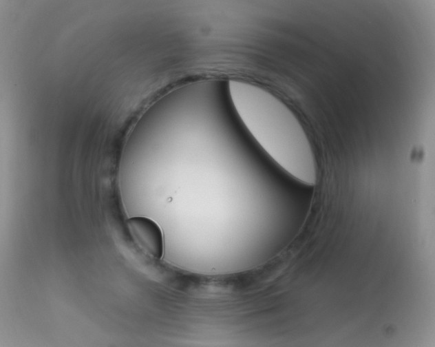 X0000113290546200909141007