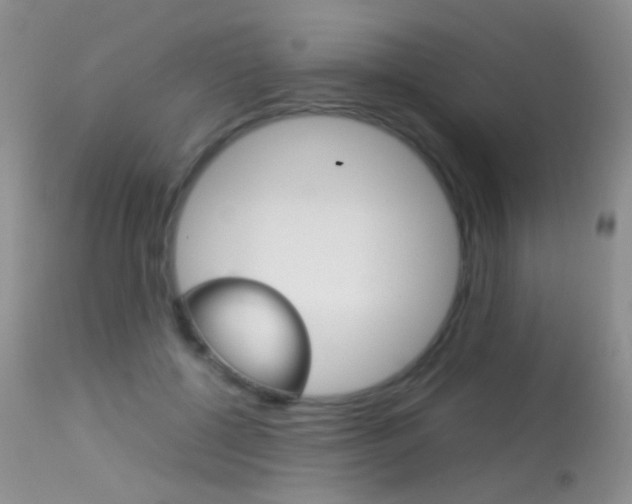 X0000113290552200909141007