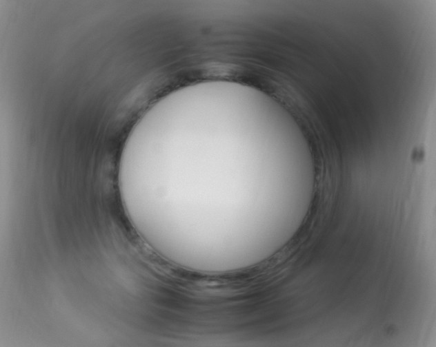 X0000113290557200909141007