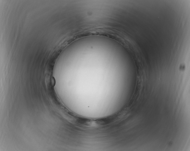 X0000113290558200909141007