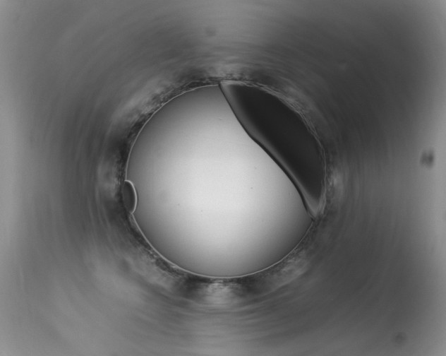 X0000113290566200909141007