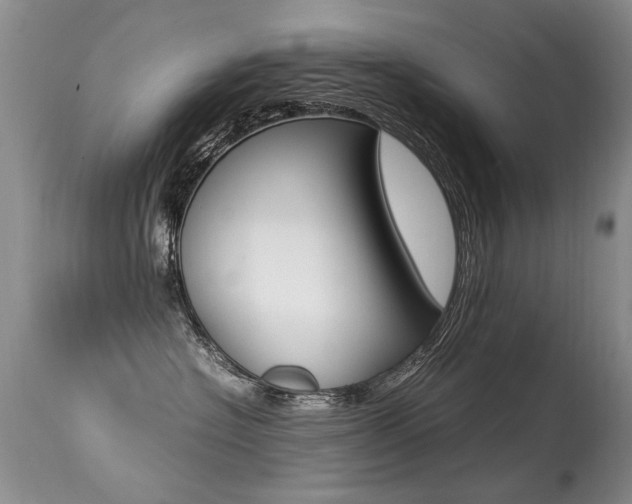 X0000113290574200909141007