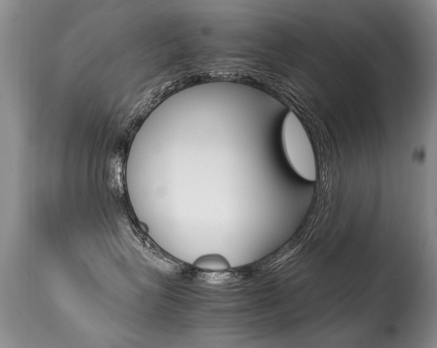 X0000113290575200909141007