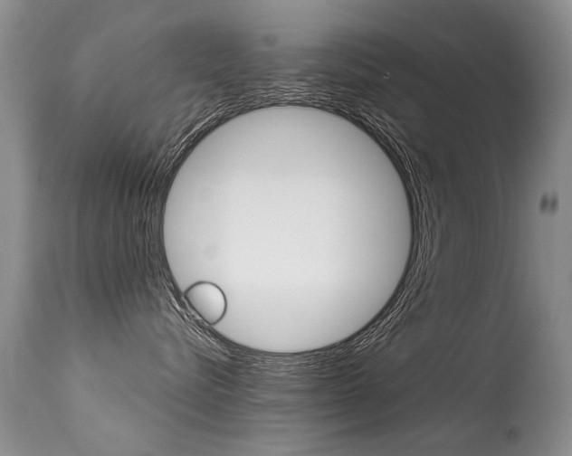 X0000113290576200909141007