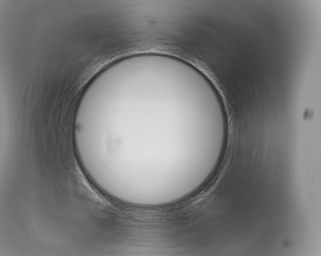 X0000113290577200909141007