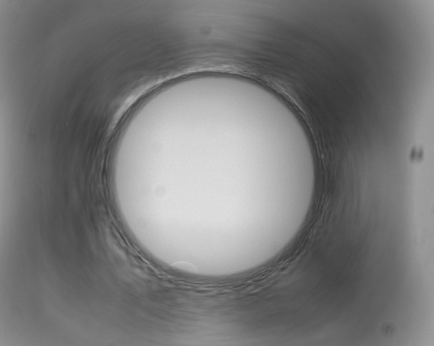 X0000113290579200909141007