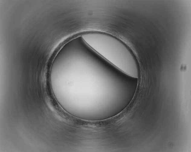 X0000113290580200909141007