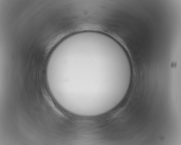 X0000113290581200909141007