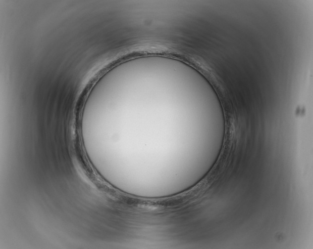 X0000113290582200909141007
