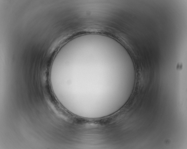 X0000113290586200909141007