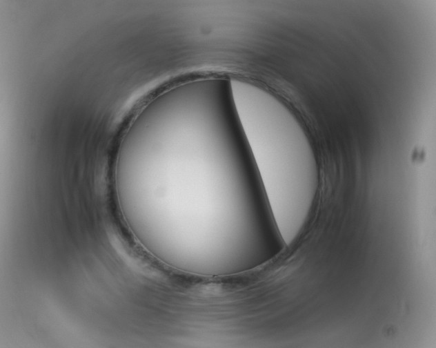 X0000113290588200909141007