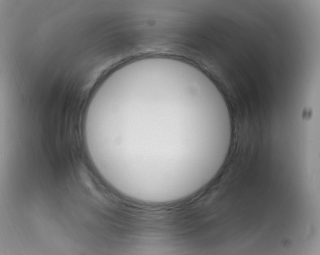 X0000113290592200909141006