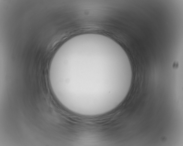 X0000113290595200909141006