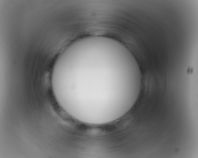 X0000113290598200909141006