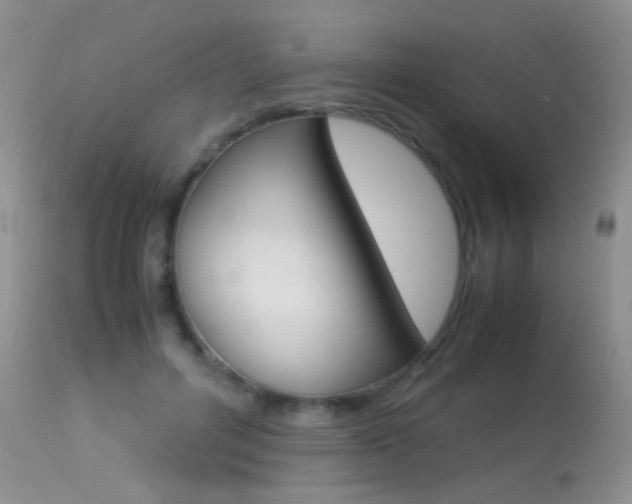 X0000113290600200909141006