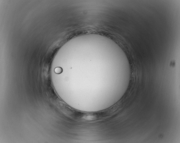 X0000113290610200909141006