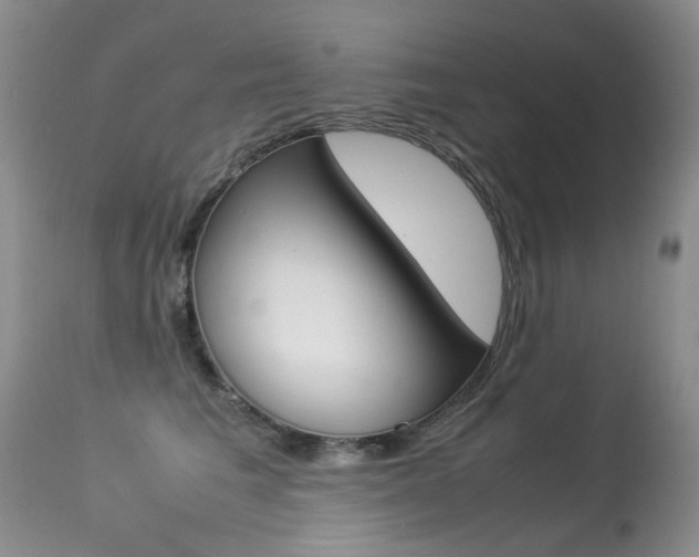 X0000113290613200909141006