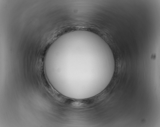 X0000113290614200909141006