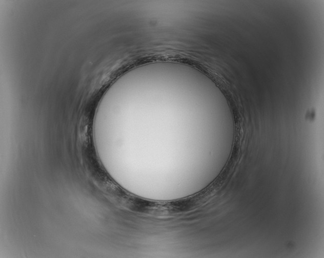 X0000113290615200909141006