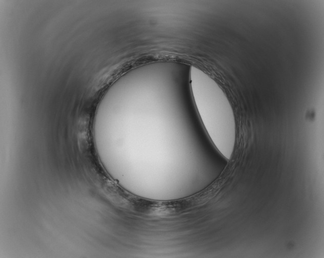 X0000113290616200909141006
