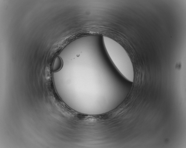 X0000113290620200909141006