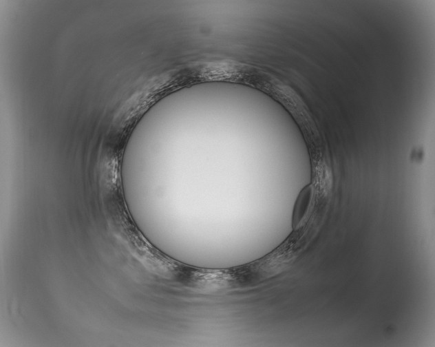 X0000113290621200909141006