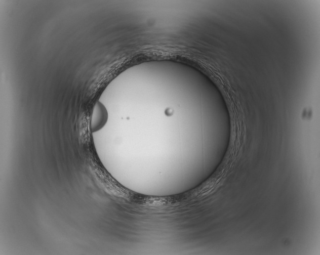 X0000113290624200909141006
