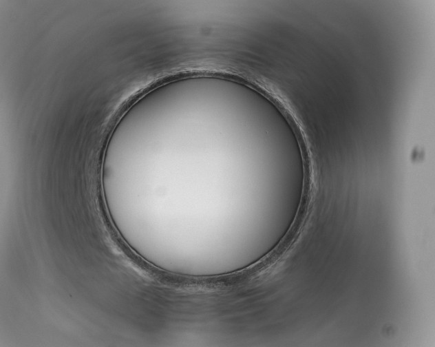 X0000113290625200909141005