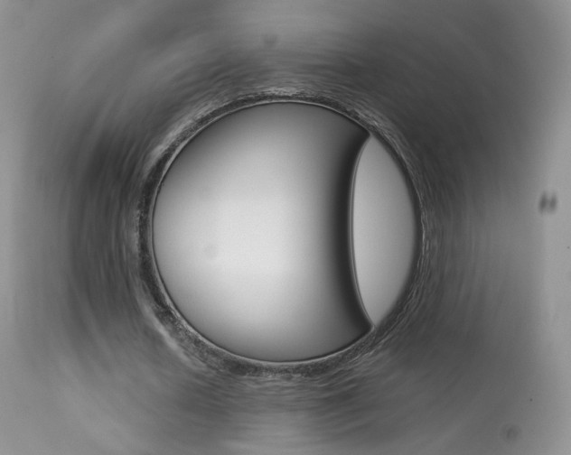 X0000113290626200909141005
