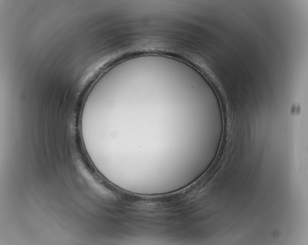 X0000113290629200909141005