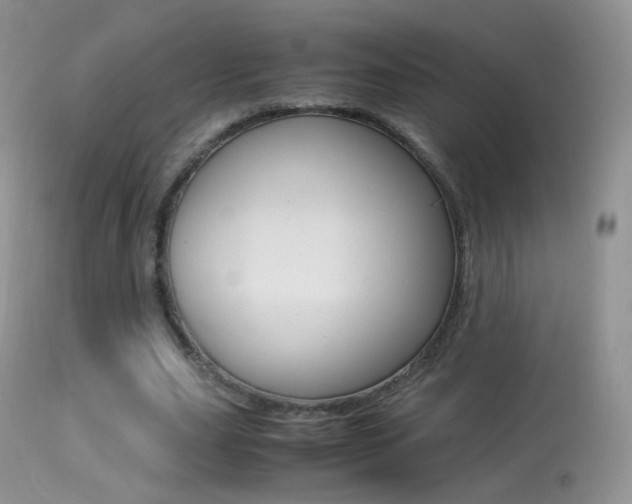 X0000113290631200909141005
