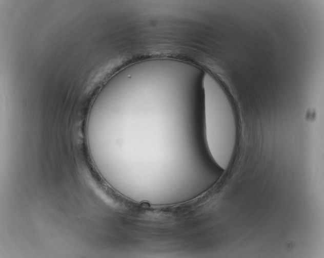 X0000113290633200909141005