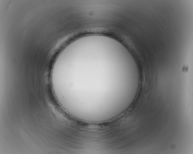 X0000113290636200909141005