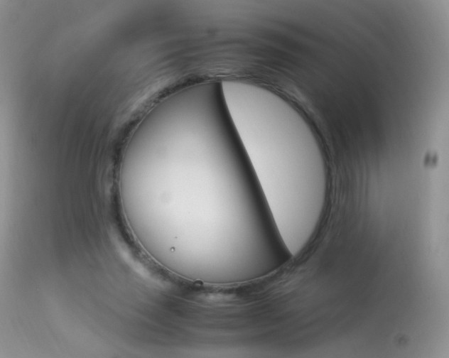 X0000113290637200909141005