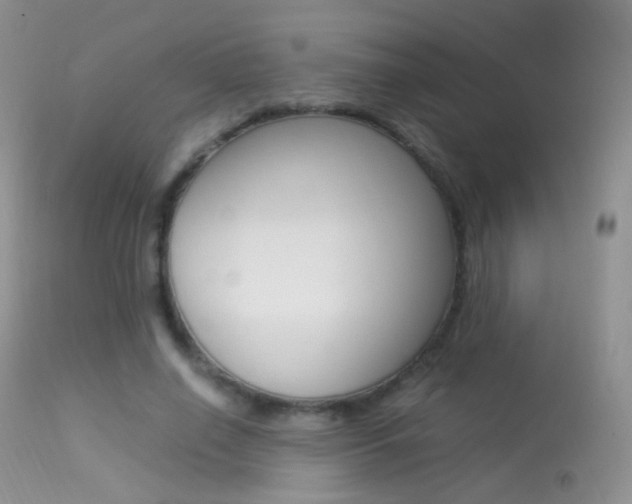 X0000113290638200909141005