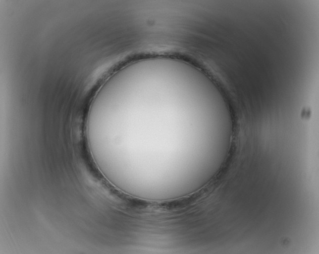 X0000113290640200909141005