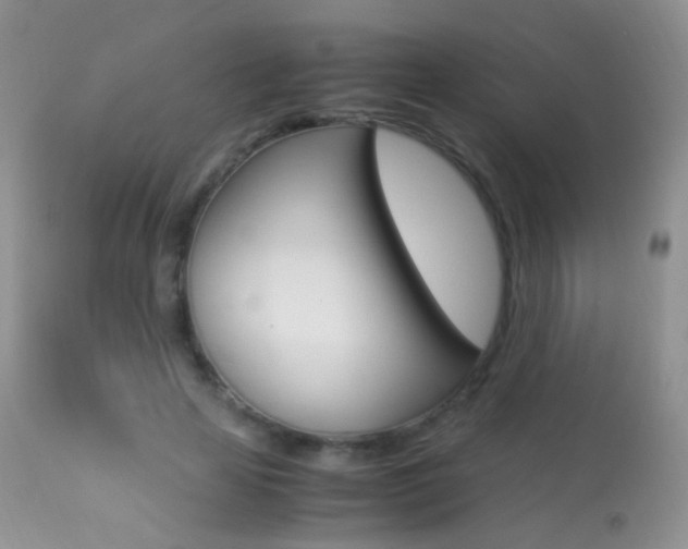 X0000113290641200909141005