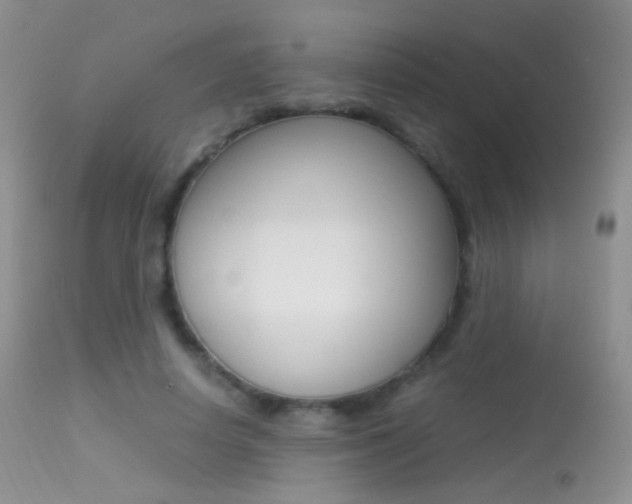 X0000113290642200909141005