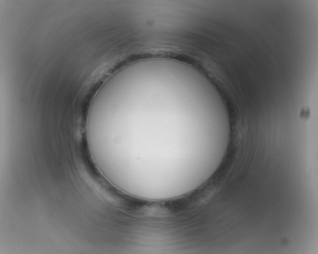 X0000113290644200909141005