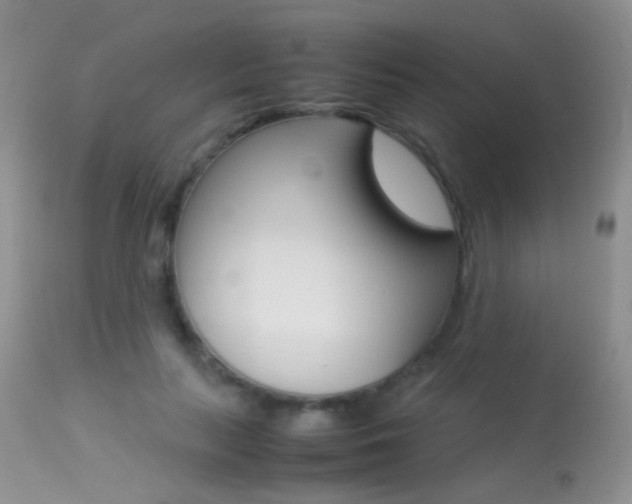 X0000113290647200909141006