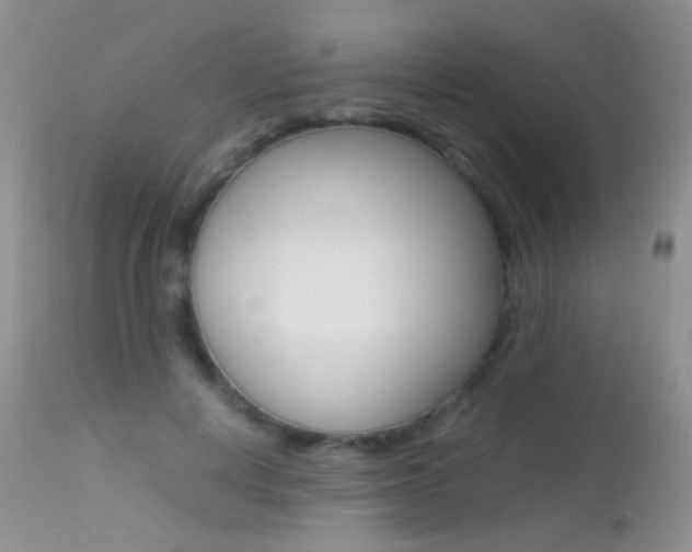 X0000113290648200909141006