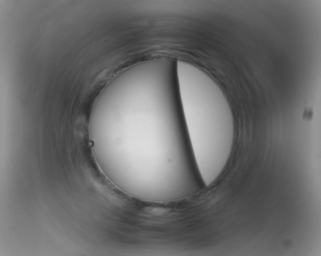 X0000113290649200909141006