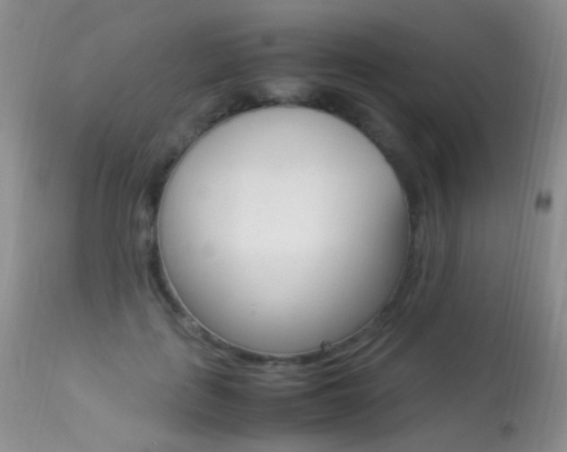 X0000113290651200909141006