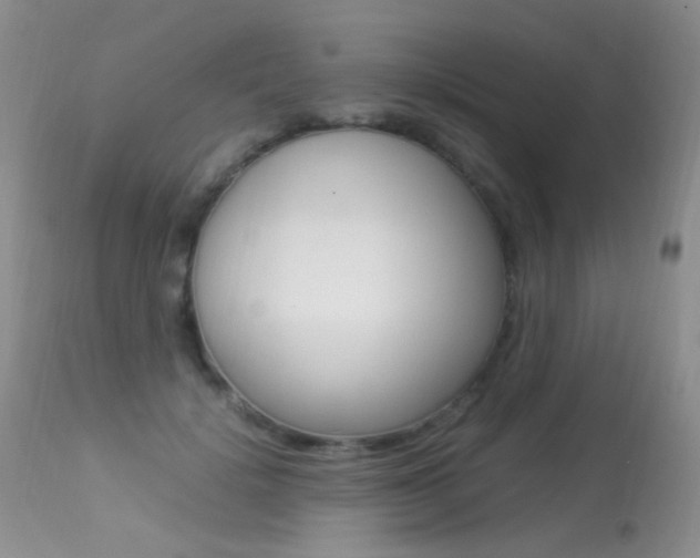 X0000113290652200909141006
