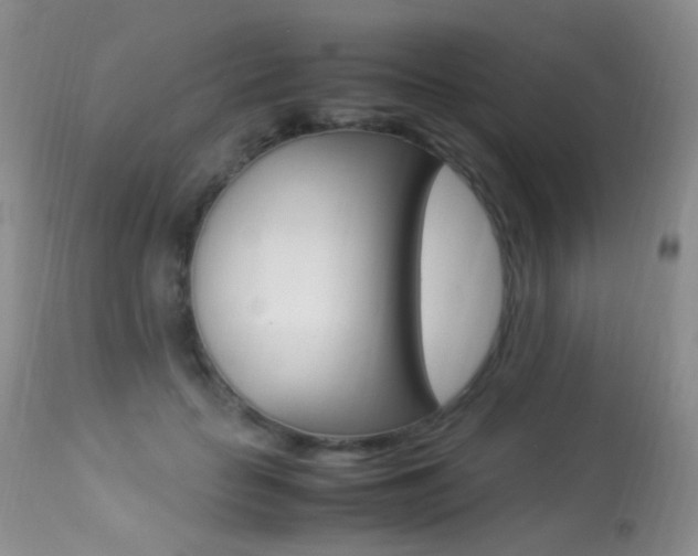 X0000113290653200909141006