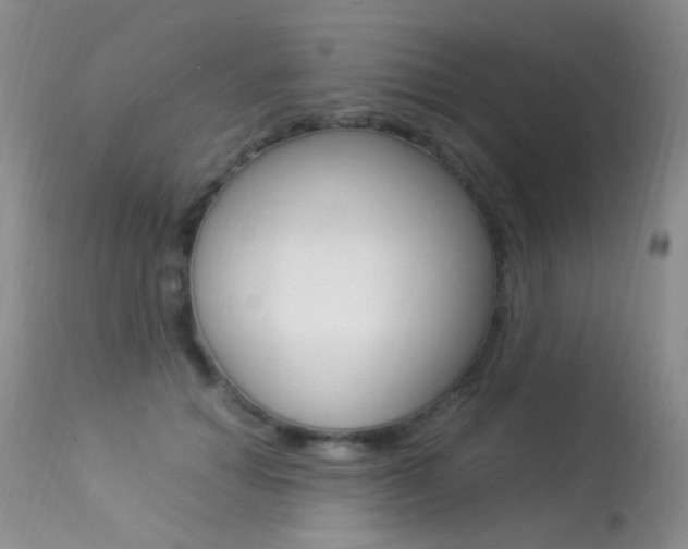 X0000113290654200909141006