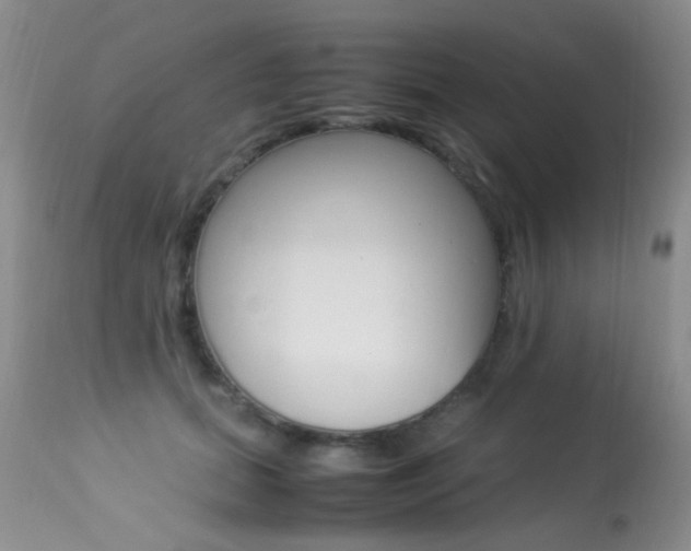 X0000113290655200909141006